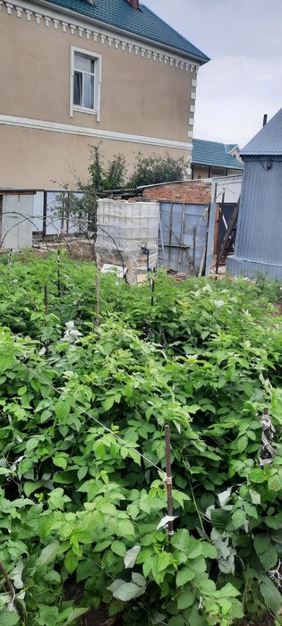 Продам дом район Парк Кирова