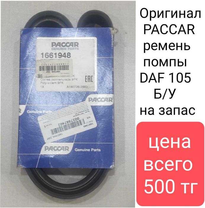 Ремень помпы ДАФ, DAF