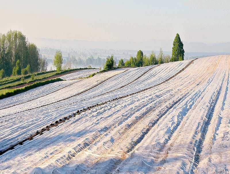 Агрил против слана и измръзване, нетъкан текстил 19g/m²