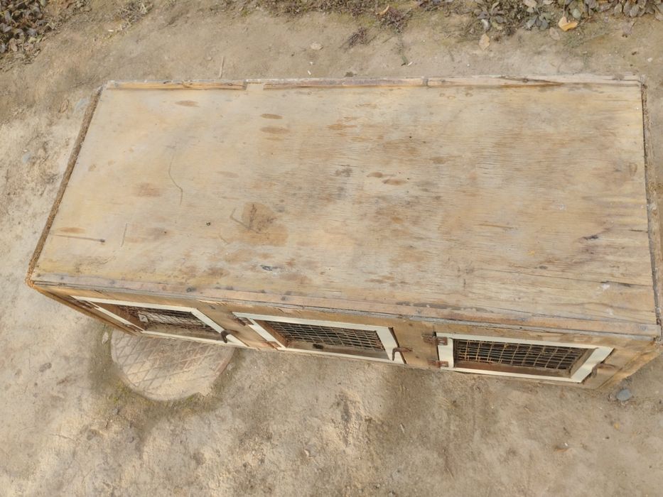 Quyon ini / Клетка для кроликов