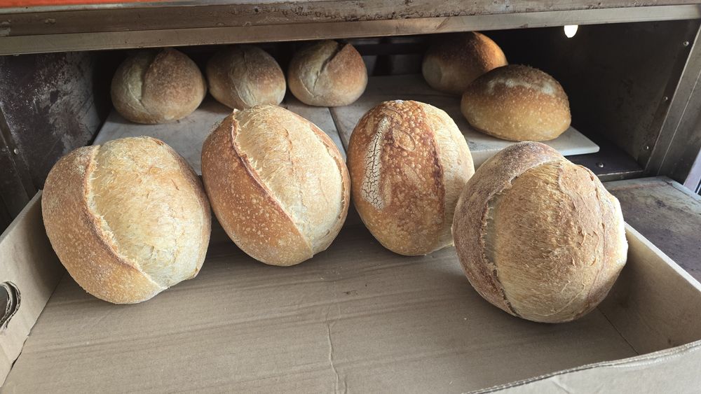 Печ,бизнес,оборудования,пекарня