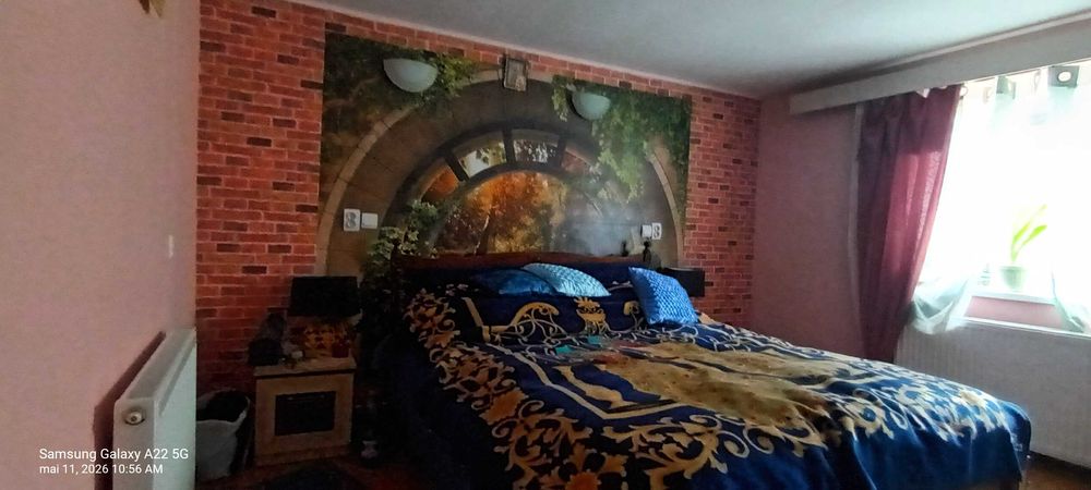 Vand casa in Domnesti Arges.