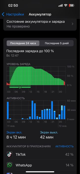 iPhone 13 128 gb 100% akb
