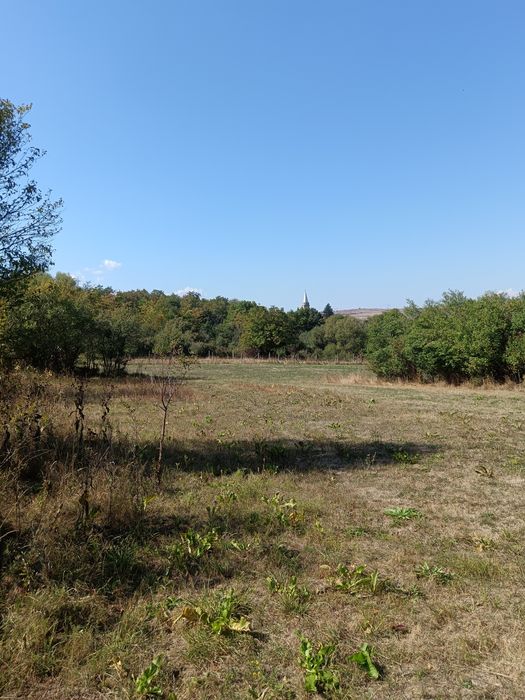 Teren  1000 mp, județul Sibiu, localitatea Amnas, pretabil A frame