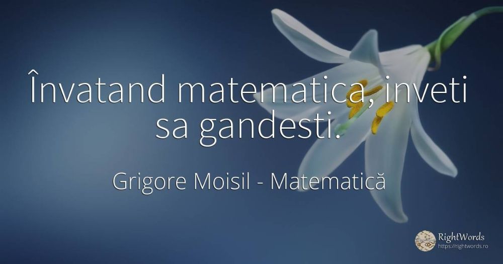 Meditatii matematica gimnaziu in Dumbravita / Timisoara