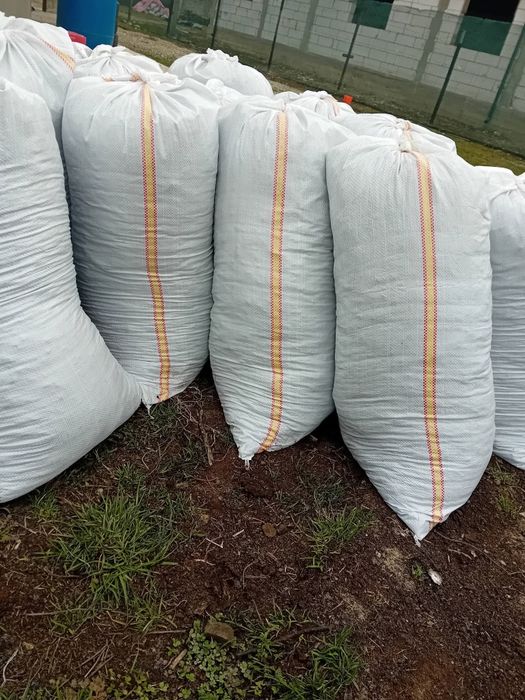 Gunoi la sac bio