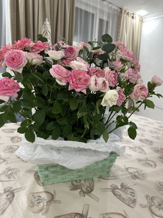 продам цветы, свежие