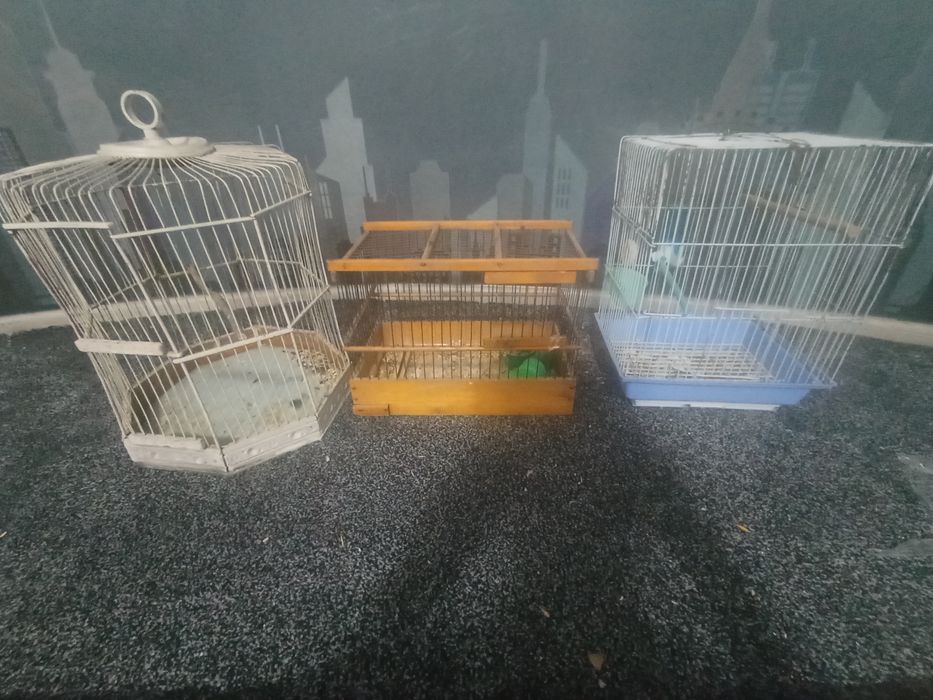 Кафас клетка. Сотилади.