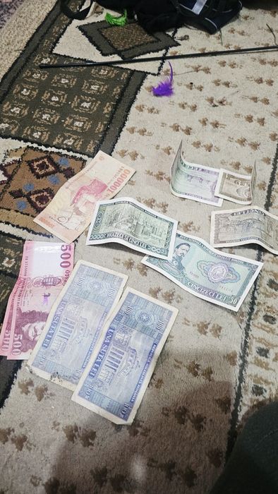monede vechi bagnote românești