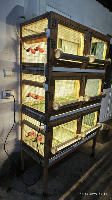 Клетка для циплят и перепелов