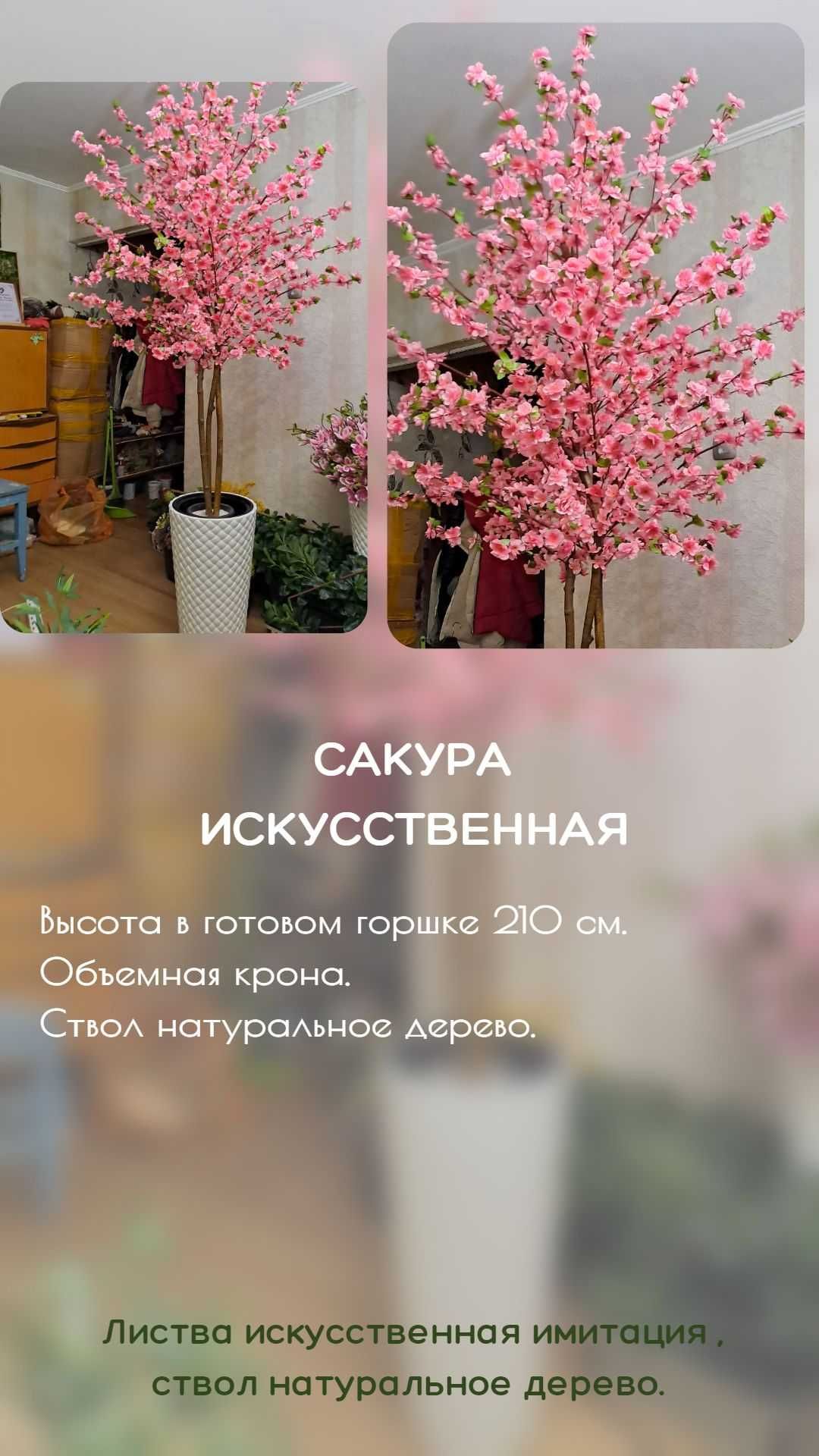 Искусственное дерево Сакура белая