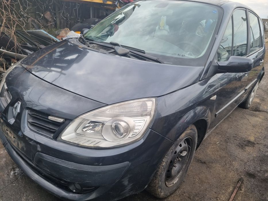 Oglindă, oglinzi stânga, dreapta Renault Scenic 2 2003-2008