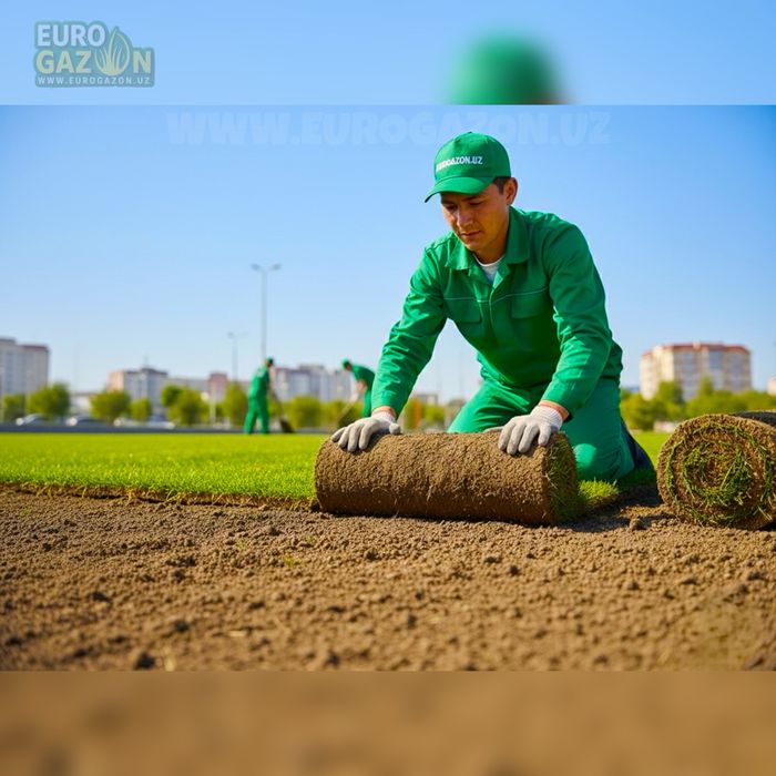 Рулонный газон с доставкой — Ташкент и область