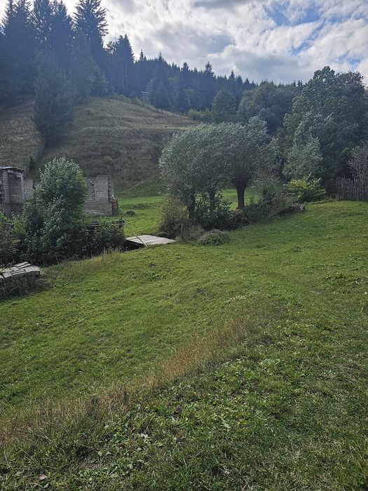 Vând teren Rucăr