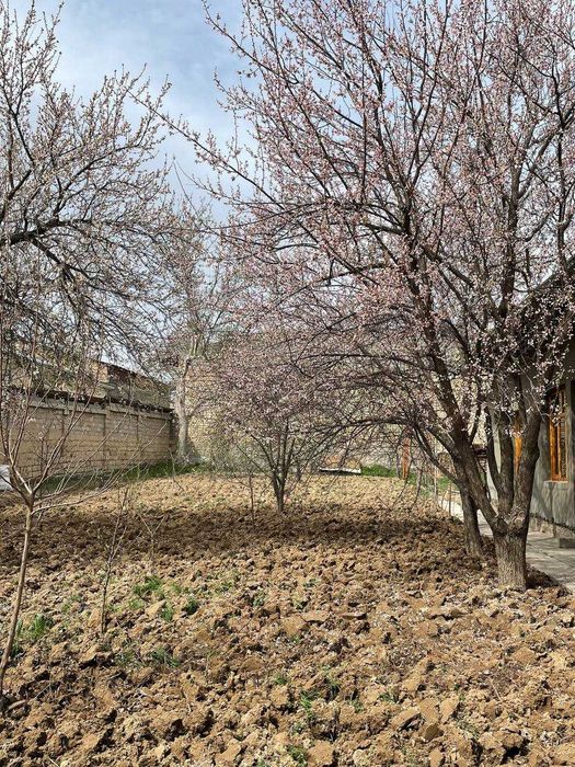 Назарбек, Тарновдан 2.5 сотих ер бўлаги сотилади