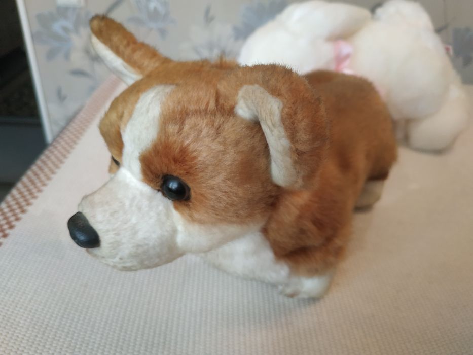 Продаю.мягкую игрушку собачка.маламут