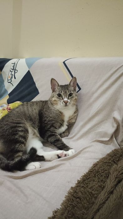 Отдам девочку в хорошие руки