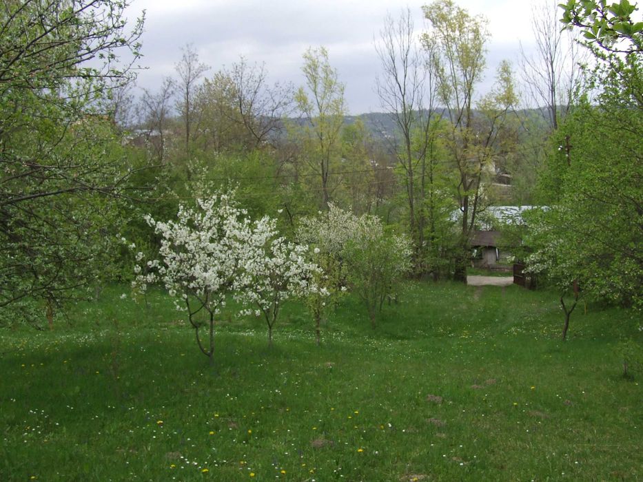 Vand teren Breaza, 10.000 mp