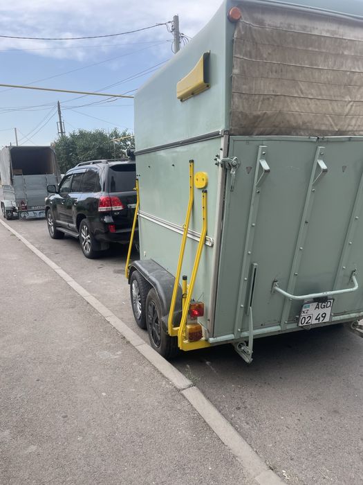 Коневозка перевозка лошадей