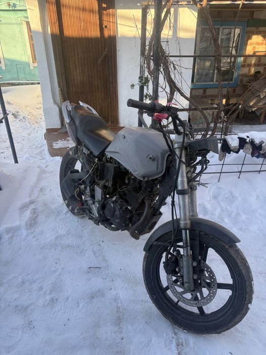 Продаю мотик рейсер нитро 250