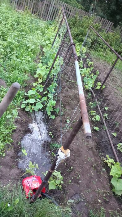 Продам дачу сад Меллиоратор