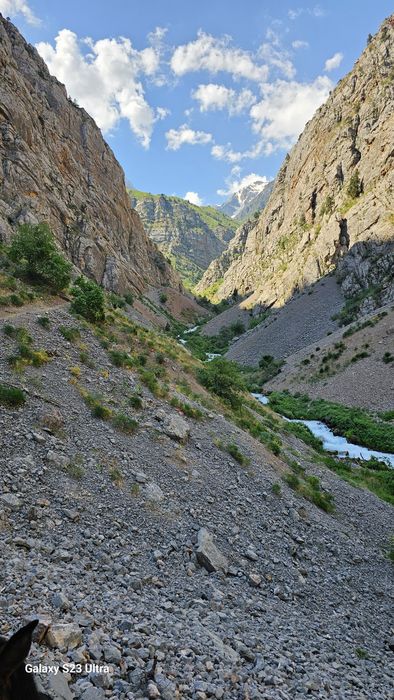 Haqiqiy togʻ asali. 100% Чистый горный мед 100%