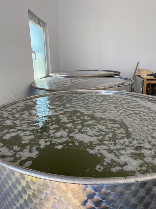 Vand Sirop F40 si Turte DULCOFRUCT