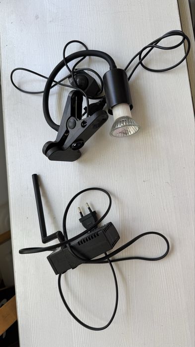 Террариум, аквариум