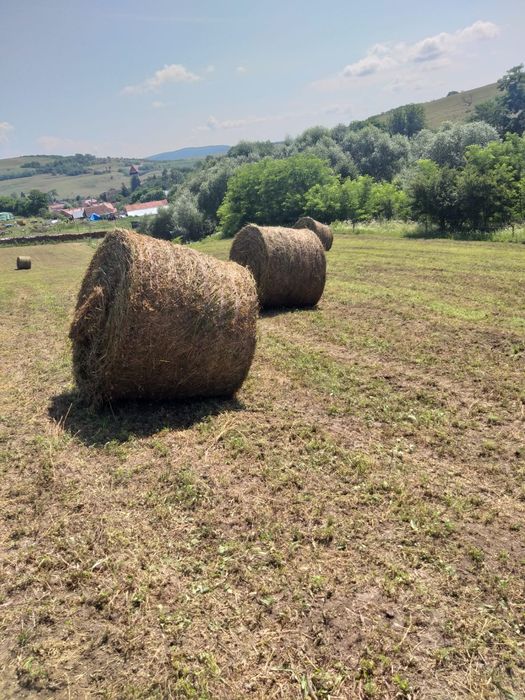Baloți lucernă 120/150