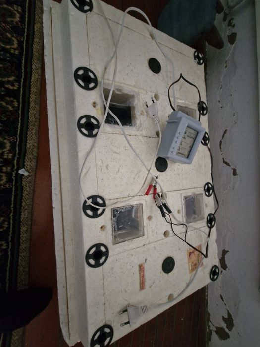 Продаю инкубатор