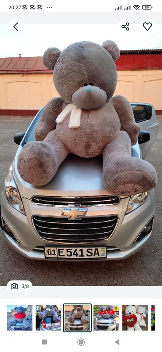 Teddy+Teddi+oq+seriy