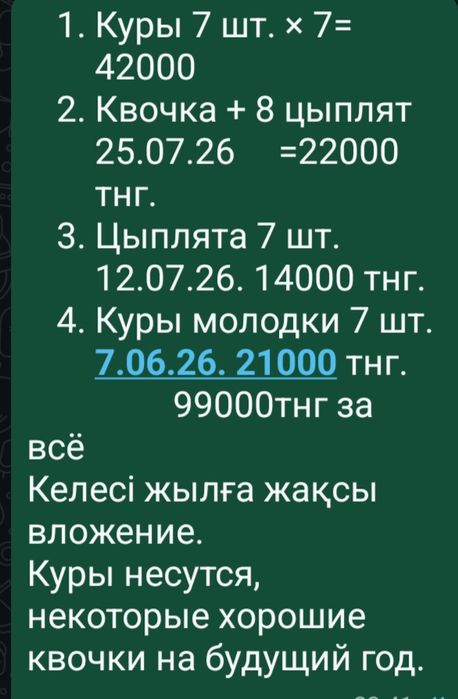Үй тауықтары және күрік тауықтары балапандарымен сатылады