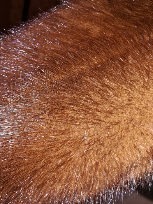 Шуба норковая!!!