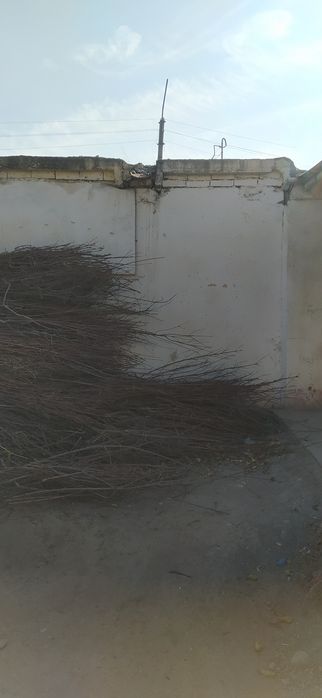 Гараж сотилади Ахунбабаевский массив за канал