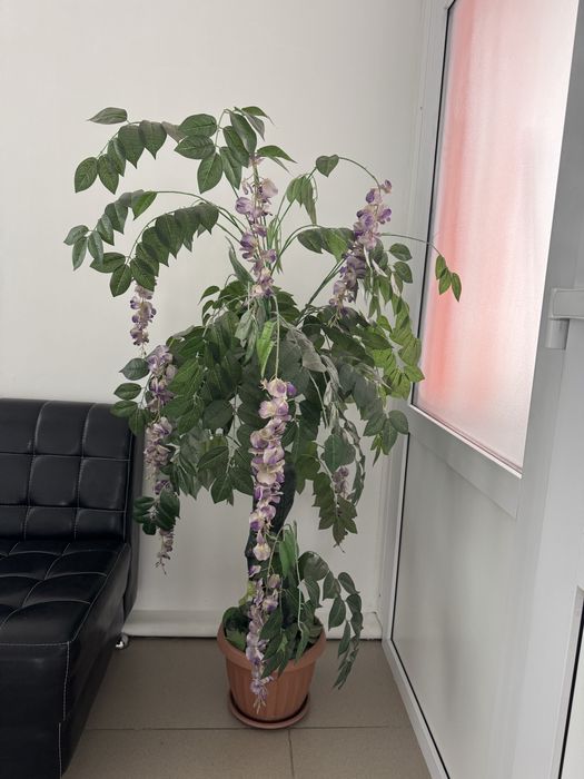 Продам искусственные деревья