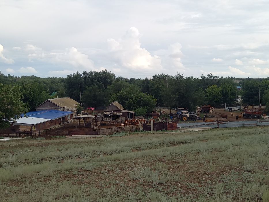 Продаётся действуйщие (к/х ) хозяйства