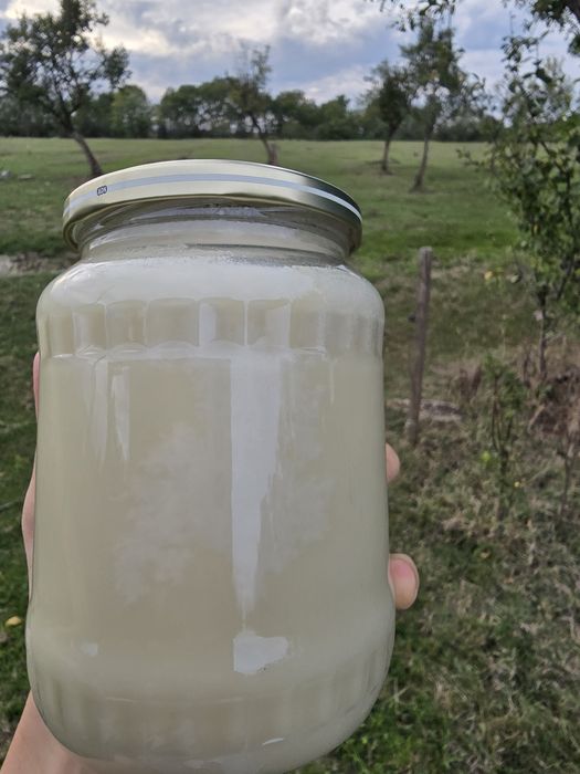 Vând miere de rapiță