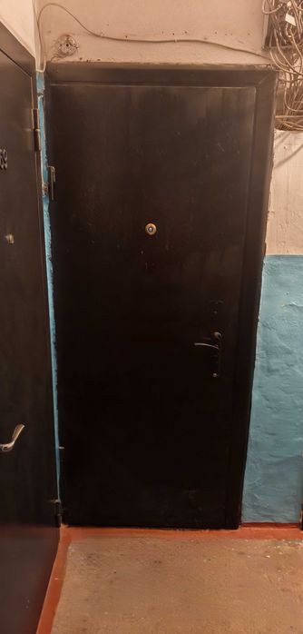 Входная дверь+межкомнатная