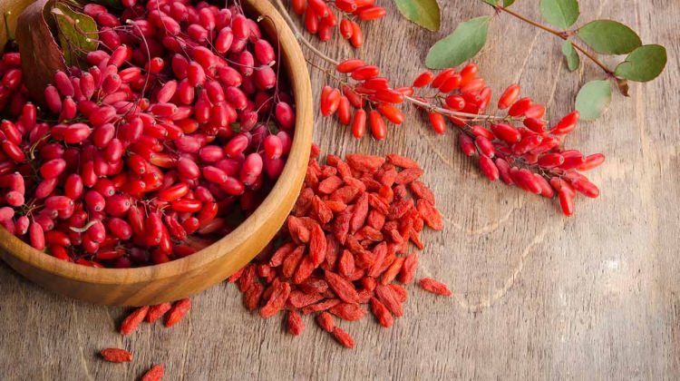 PRODUCATOR vand Goji, rasaduri, butasi, plante, seminte fructe, puieti