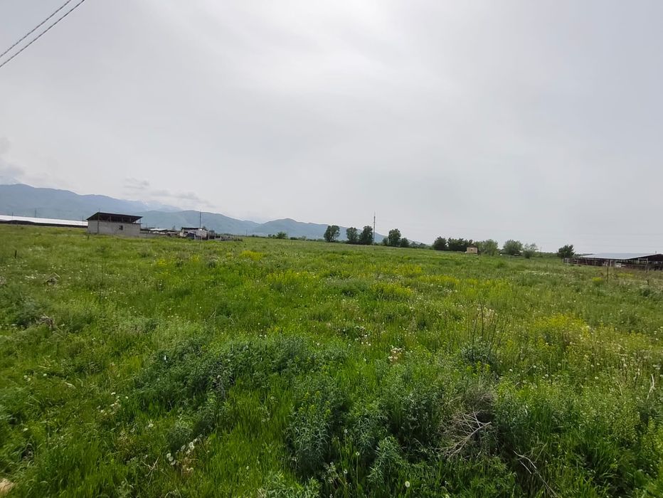 Продам участки ровные КХ