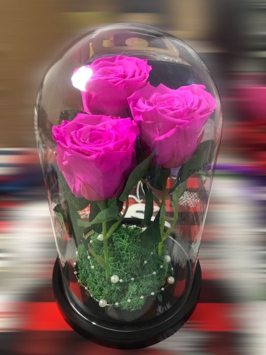 Cadou criogenat in cupola de sticla