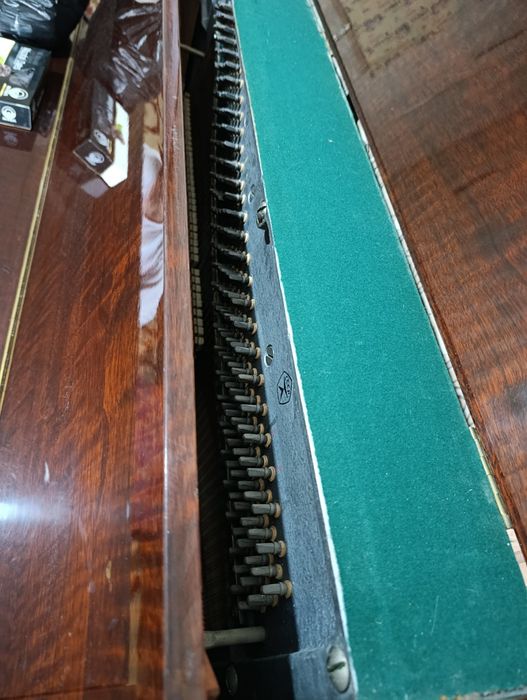 Riga orginal piyanina