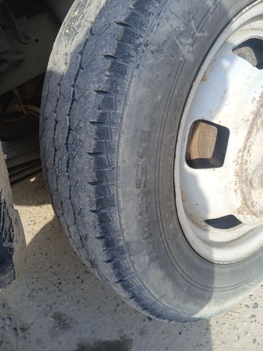 Газель болонлари б/у