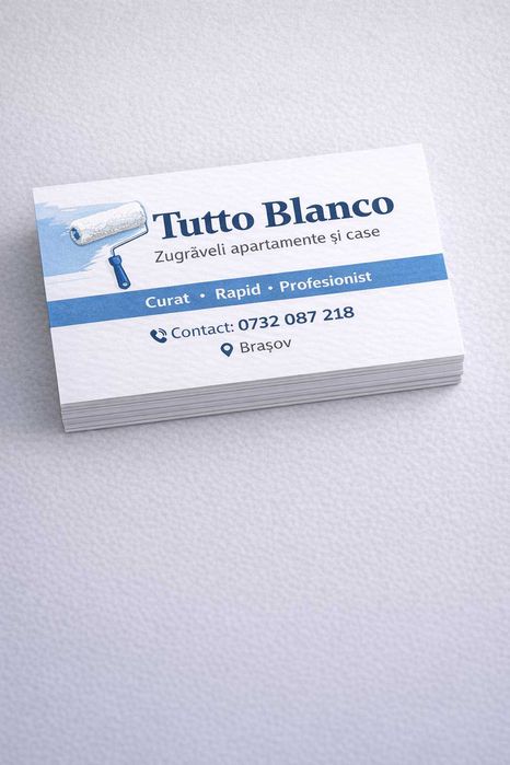 Zugrav cu experiență