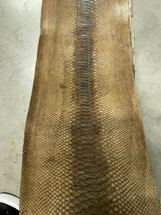 Естествена змийска кожа