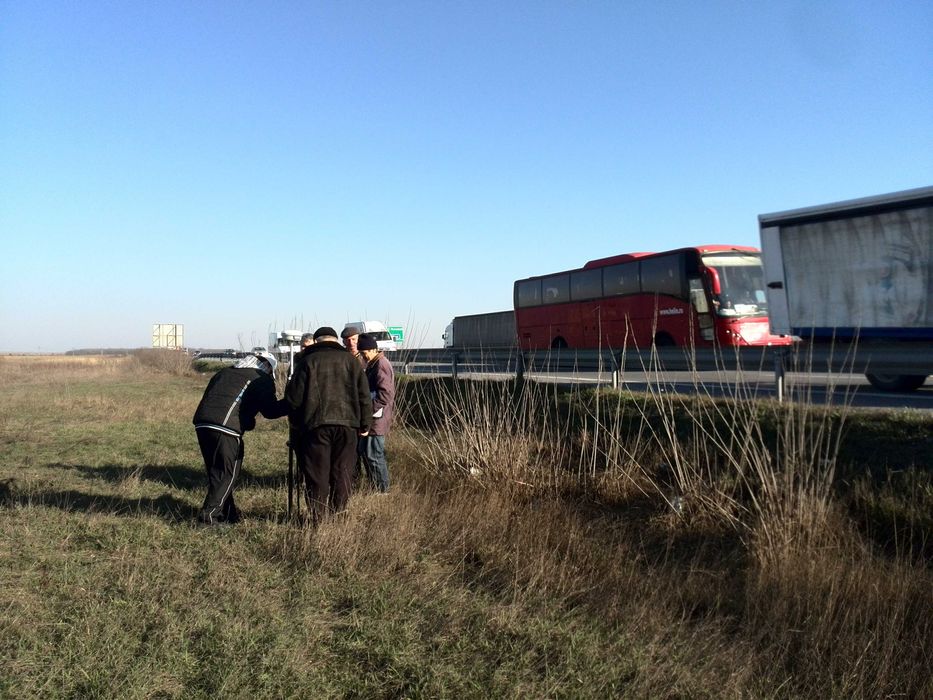 Teren 8000mp A1 km67 pasarela Exit -GAESTI-  8000mp