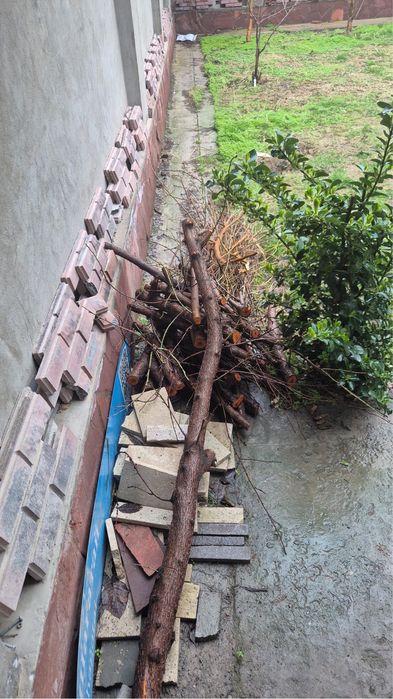 1 газель отын бар