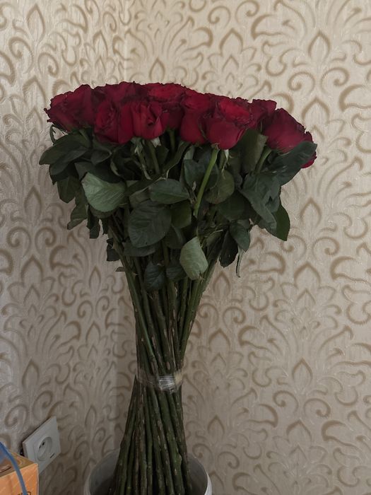 метровые розы 51 шт