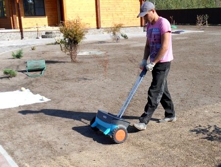 Посев газона