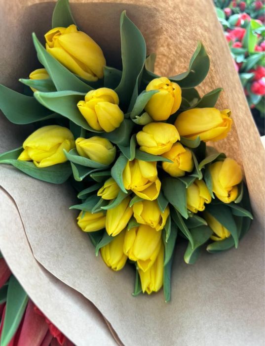 Тюльпаны оптом